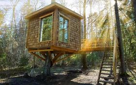 Tiigrisilma Treehouse
